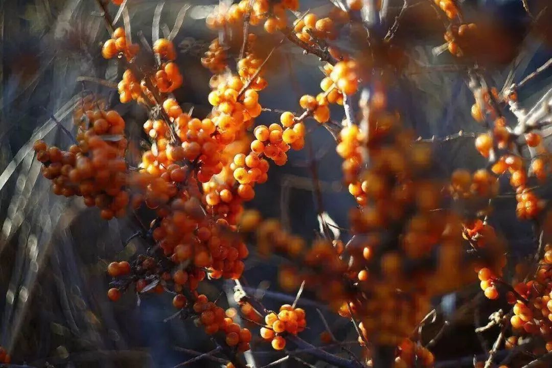 1616930377683330.jpg 1616930377683330.jpg